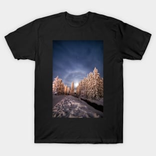 A Halo for the Trees T-Shirt